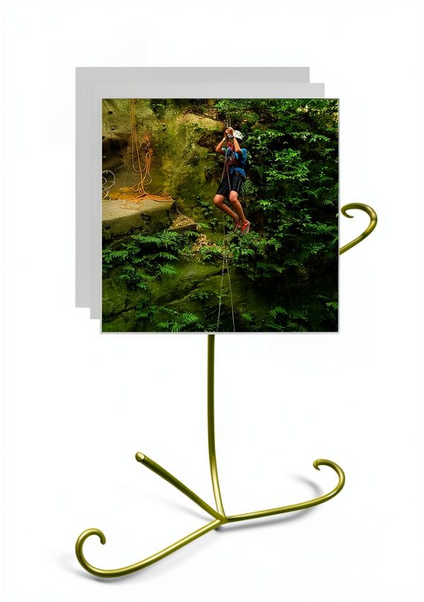Art Fiction eBook English Language Teen Young Adult-0