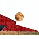 Beacon Press Rural Sociology eBook and Demography Comprehensive Study-0