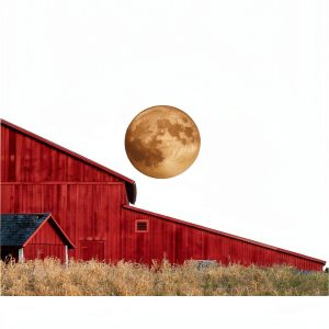 Beacon Press Rural Sociology eBook and Demography Comprehensive Study-0