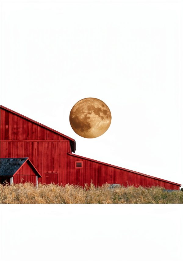 Beacon Press Rural Sociology eBook and Demography Comprehensive Study-0